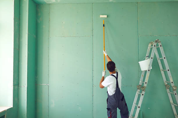 Best Mold Prevention Services  in Long Hill, CT