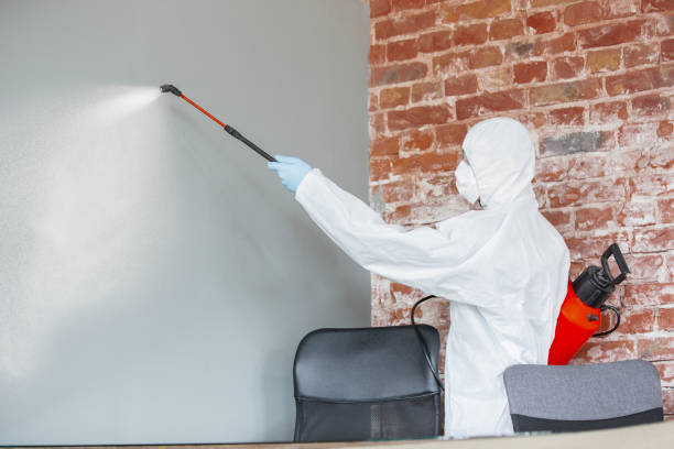 Mold Removal for HVAC Installations in Long Hill, CT