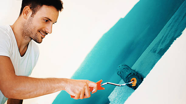 Best Emergency Mold Remediation  in Long Hill, CT
